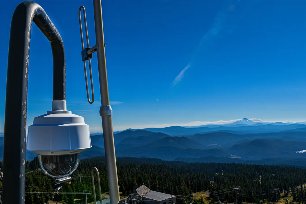 Timberline Camera