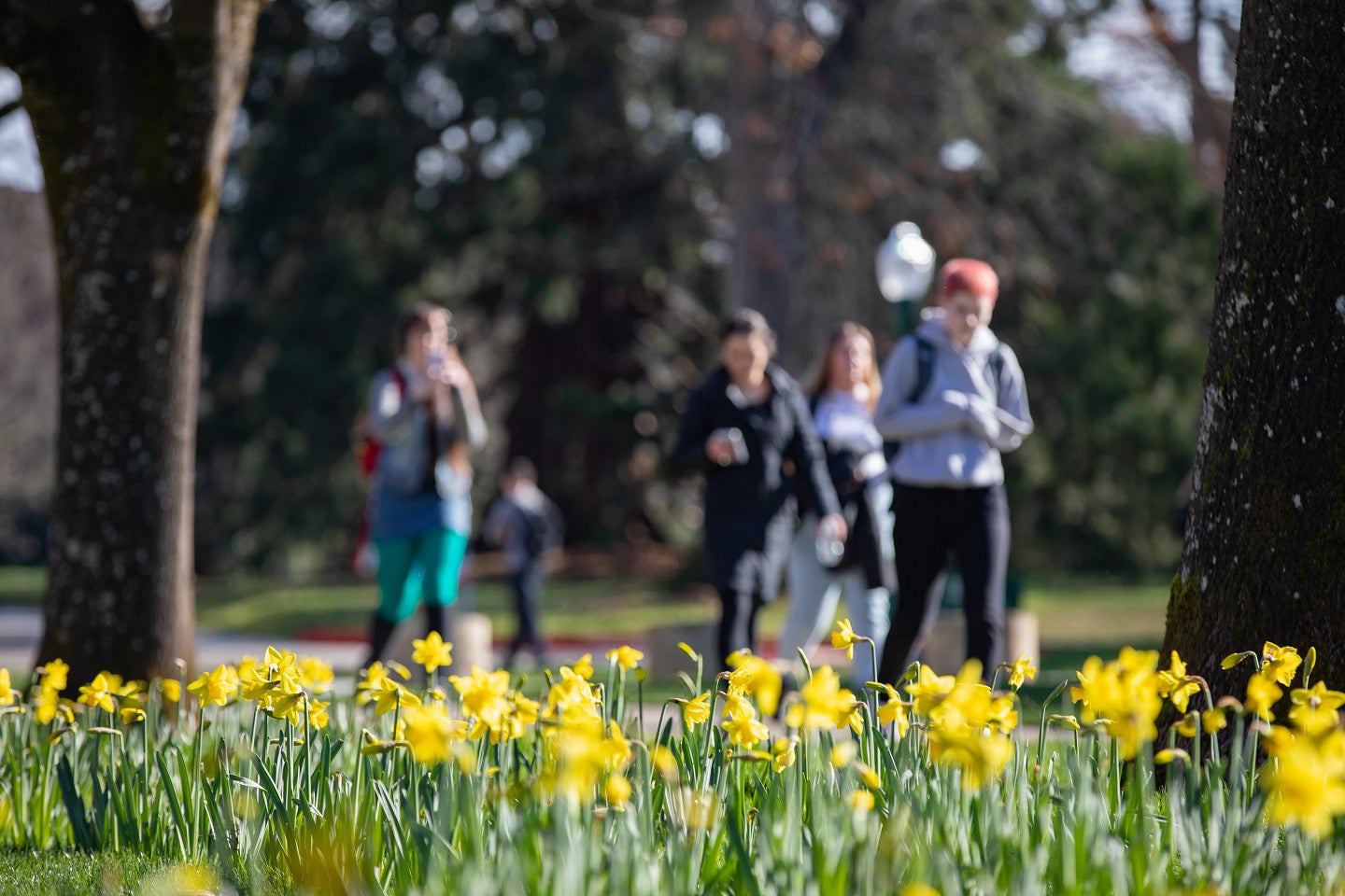 Graduate Student Newsletter - February 25, 2026