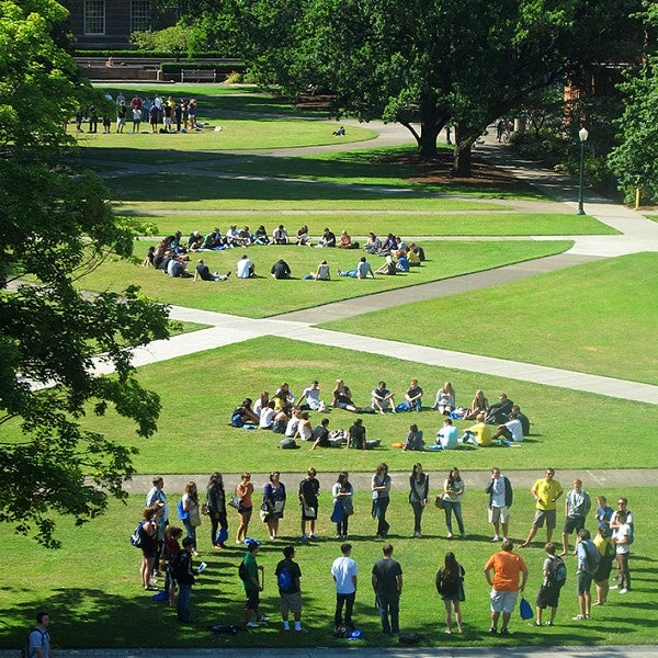 students in circles on lawn