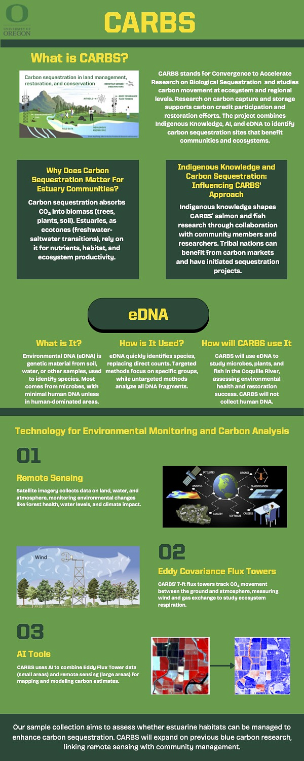 Inforgraphic talking about carbs in the Amazon