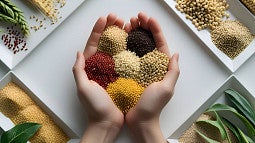 hands holding grain