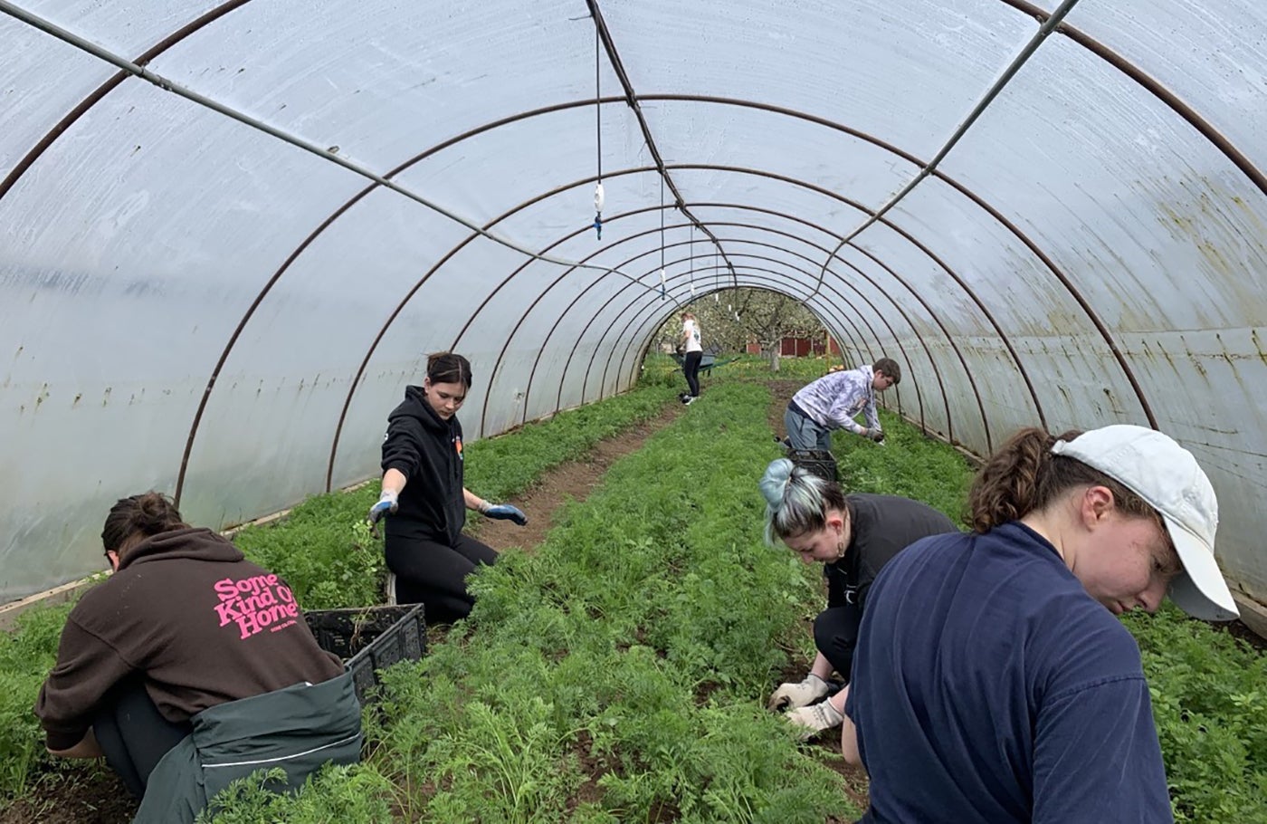 Volunteers work in a greenhouse for Earth Day of Service