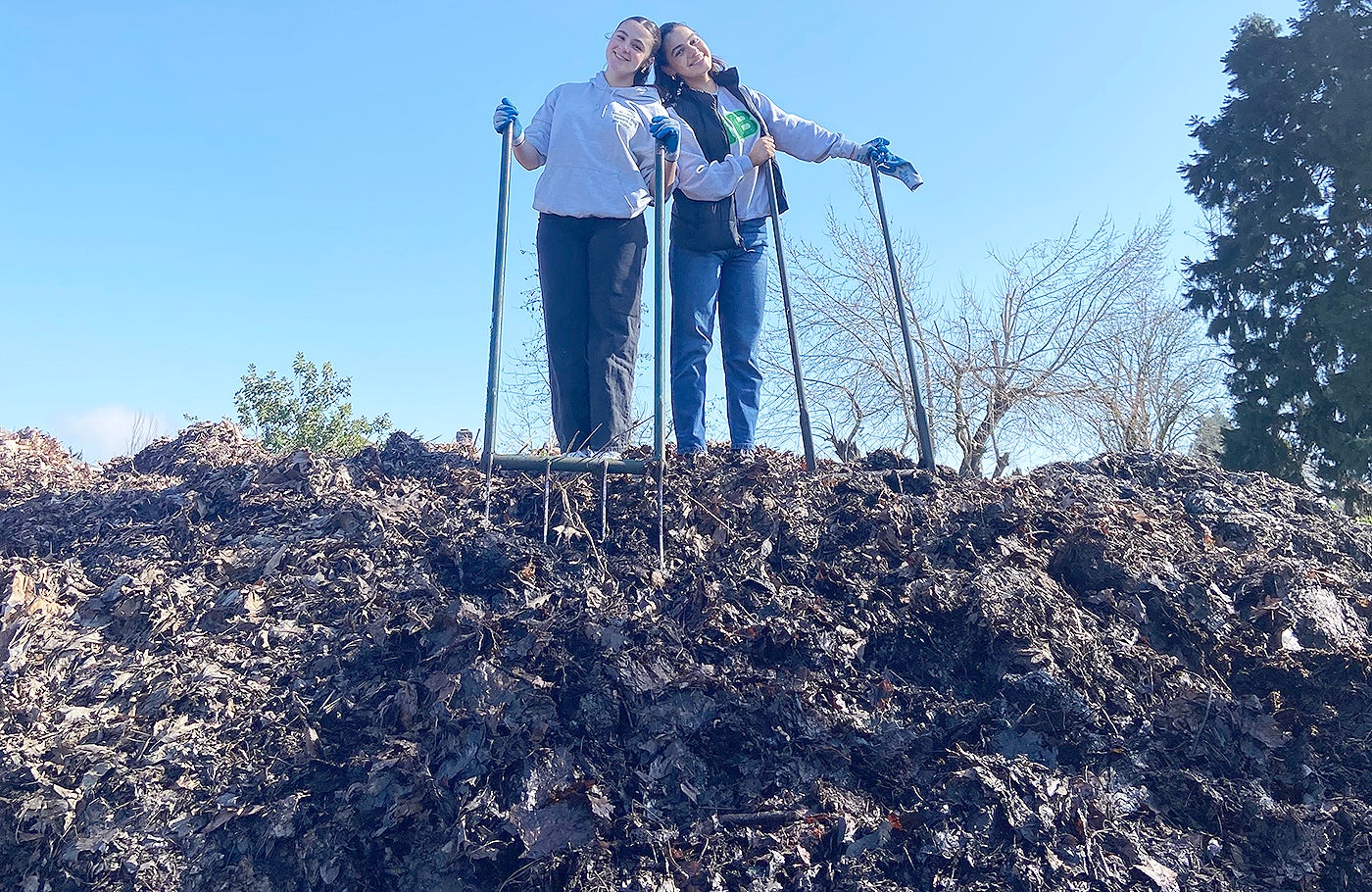 Students stand on a pile of raked leaves