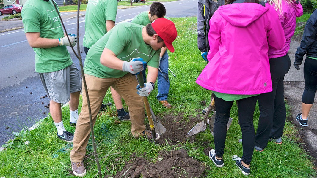 Students digging holes for planting trees.