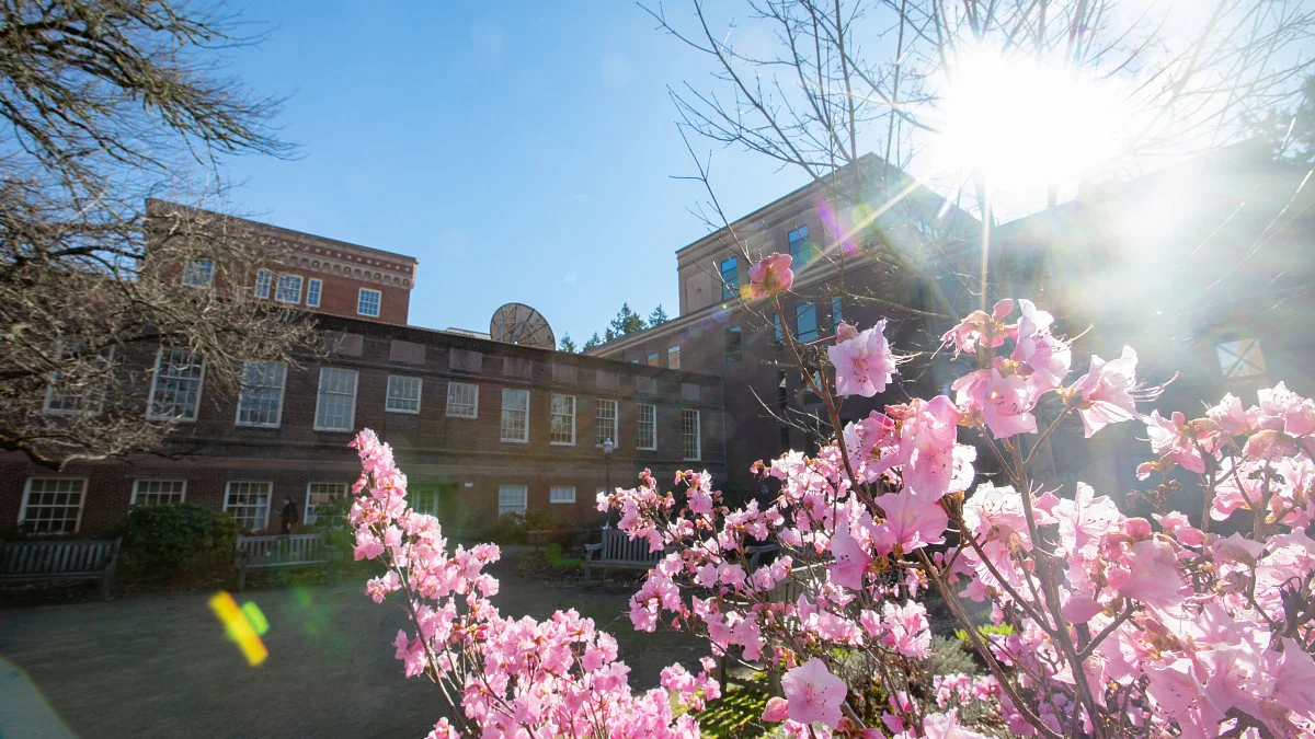 (Exterior of campus buildings with blooming azalea bush in foreground.) Translation Studies