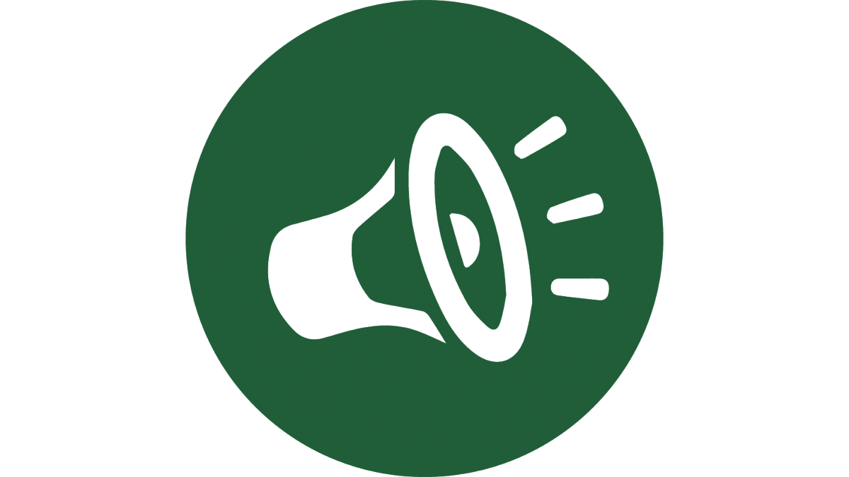Megaphone Icon