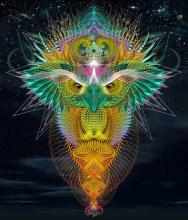 Abstract drawing of an owl.