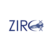 zirc