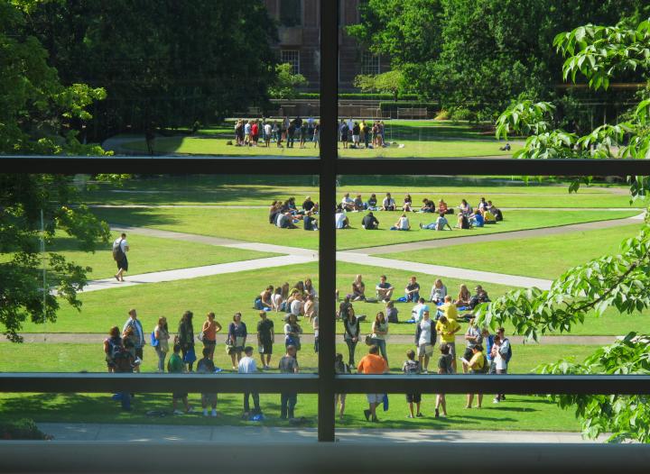 Students stand in circles on a sunny lawn on the UO Eugene campus.