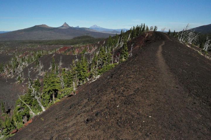 A footpath along a ridge in the Cascade range. 