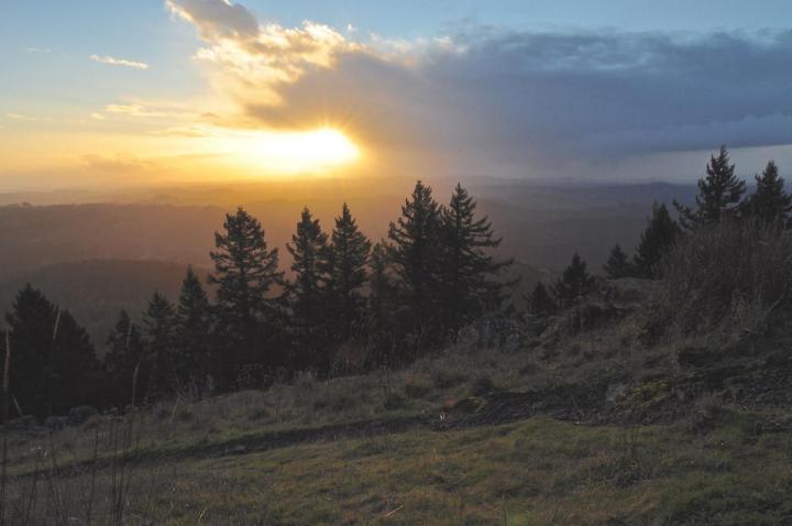 A partially obscured sunrise as seen from a hilltop on a foggy morning.
