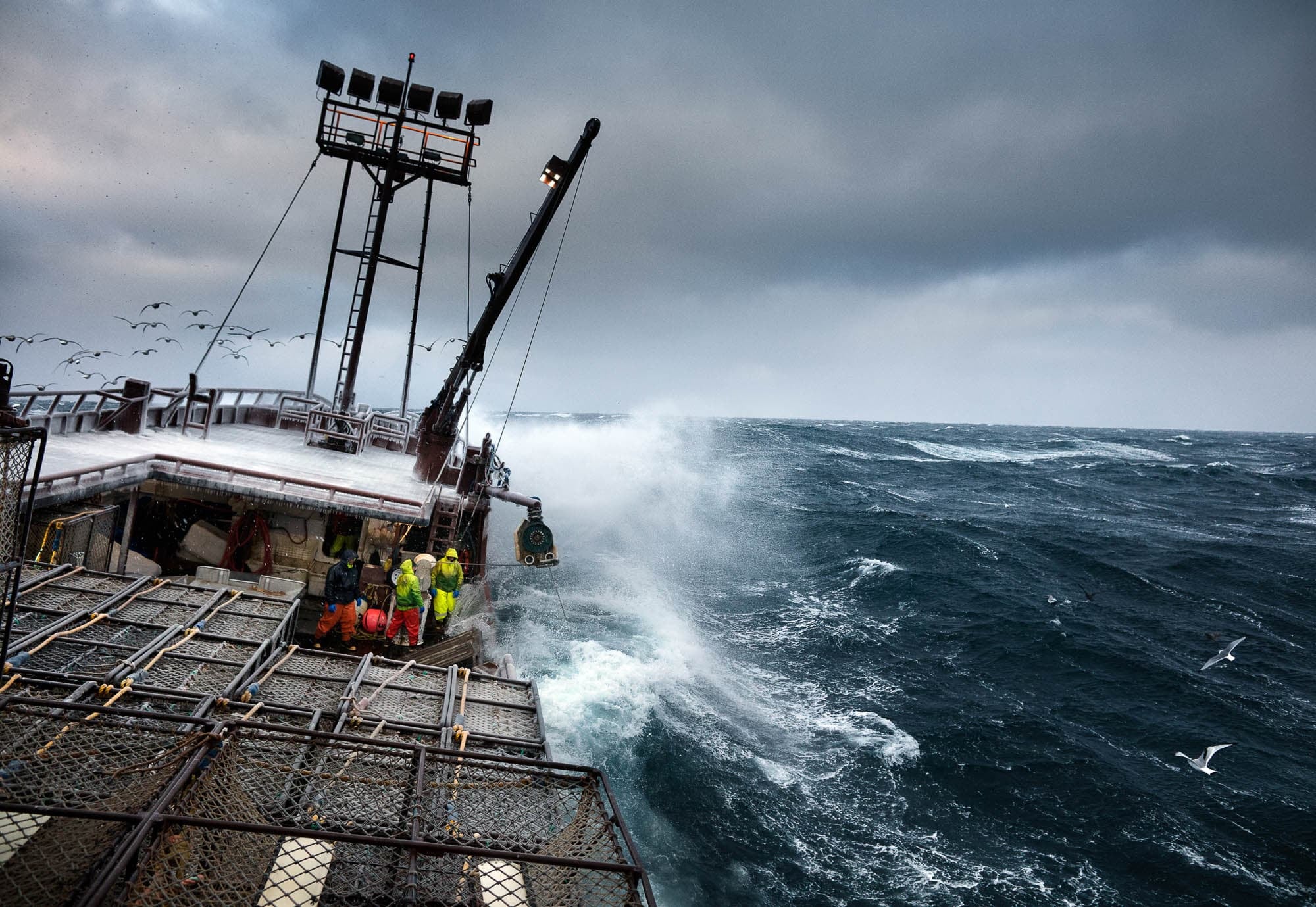 Dramatic photograph of a fishing boat in rough seas with crew members working amid powerful waves and flying seabirds.