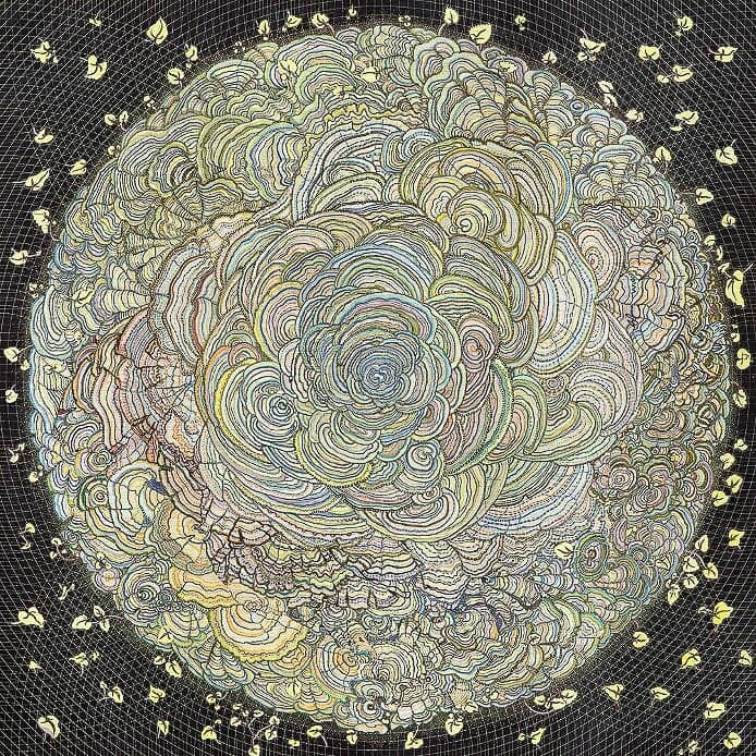 Drawing of pastel colored shelf fungi that form a circle on a black patterned background