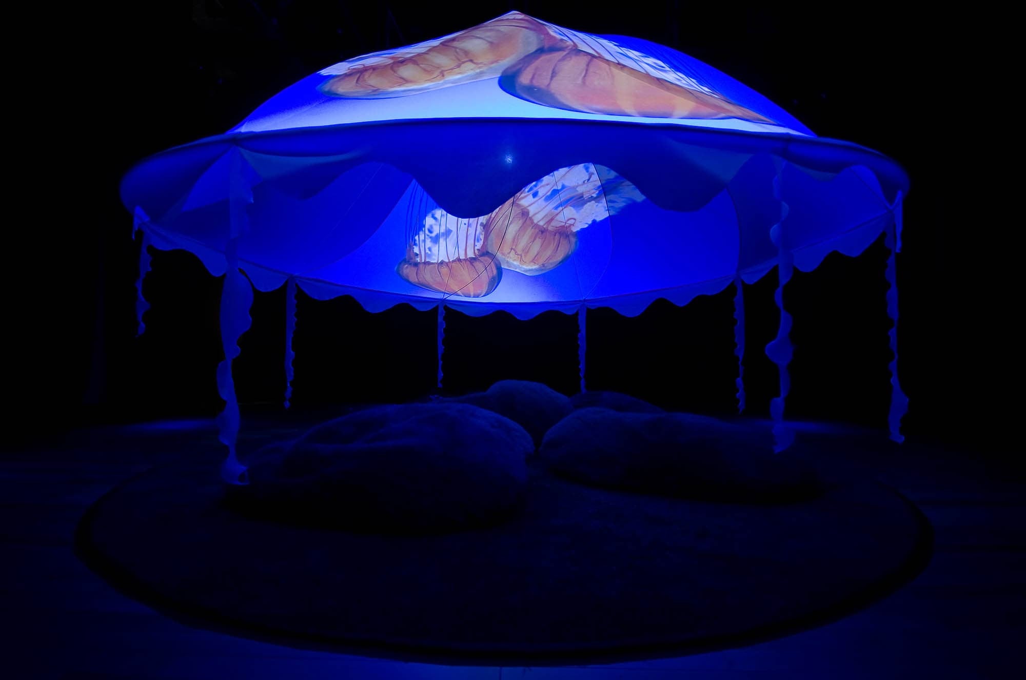 Large blue jellyfish hanging canopy with pillows underneath that look like ocean rocks. Several golden jellyfish are illuminated on the canopy’s blue bell.