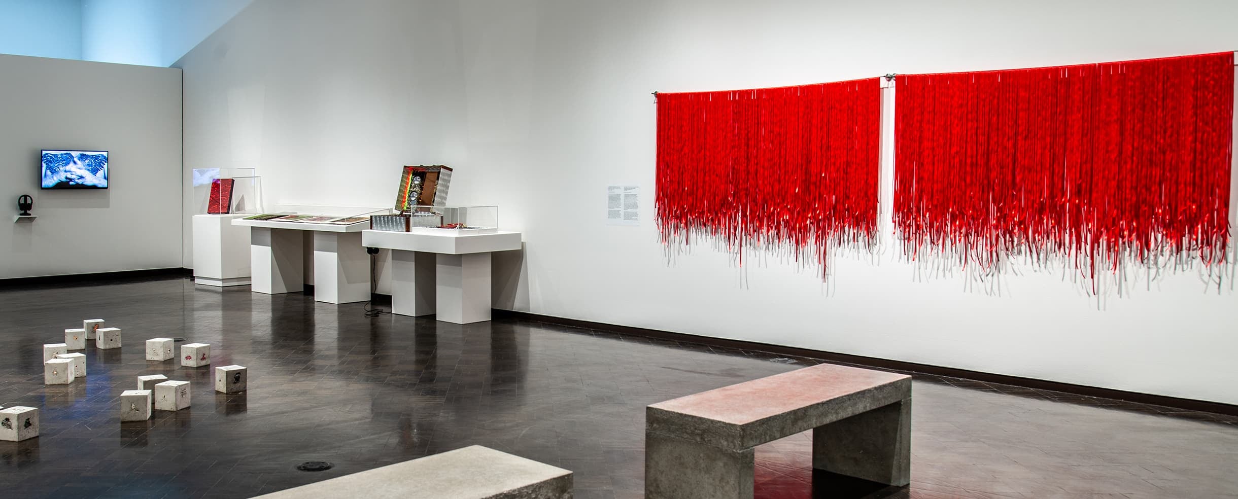 Gallery shot of Necroarchivos with multiple artworks