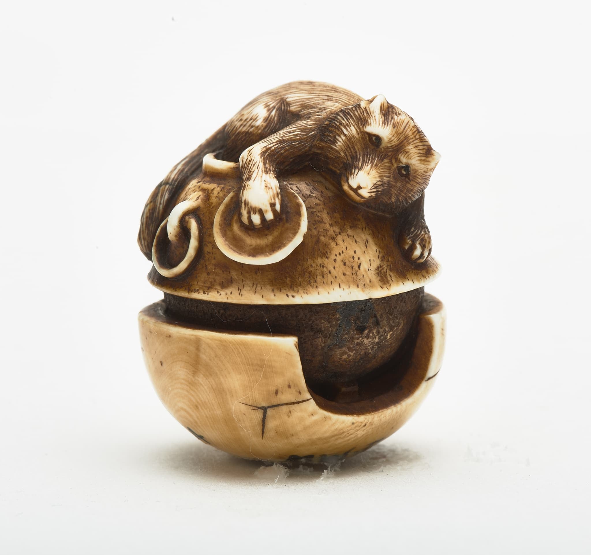 Small sculpture of a Japanese Racoon Dog lying on top of a tea kettle.