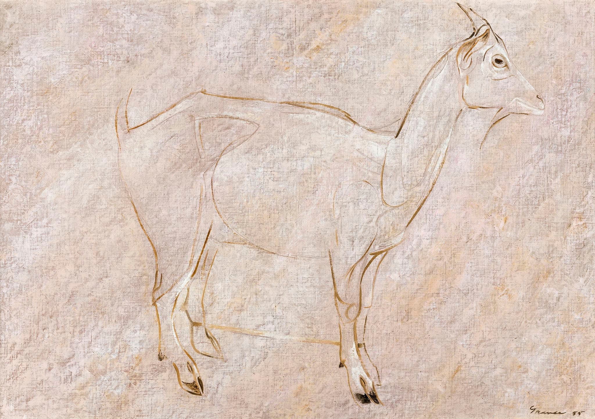 Drawing of a goat