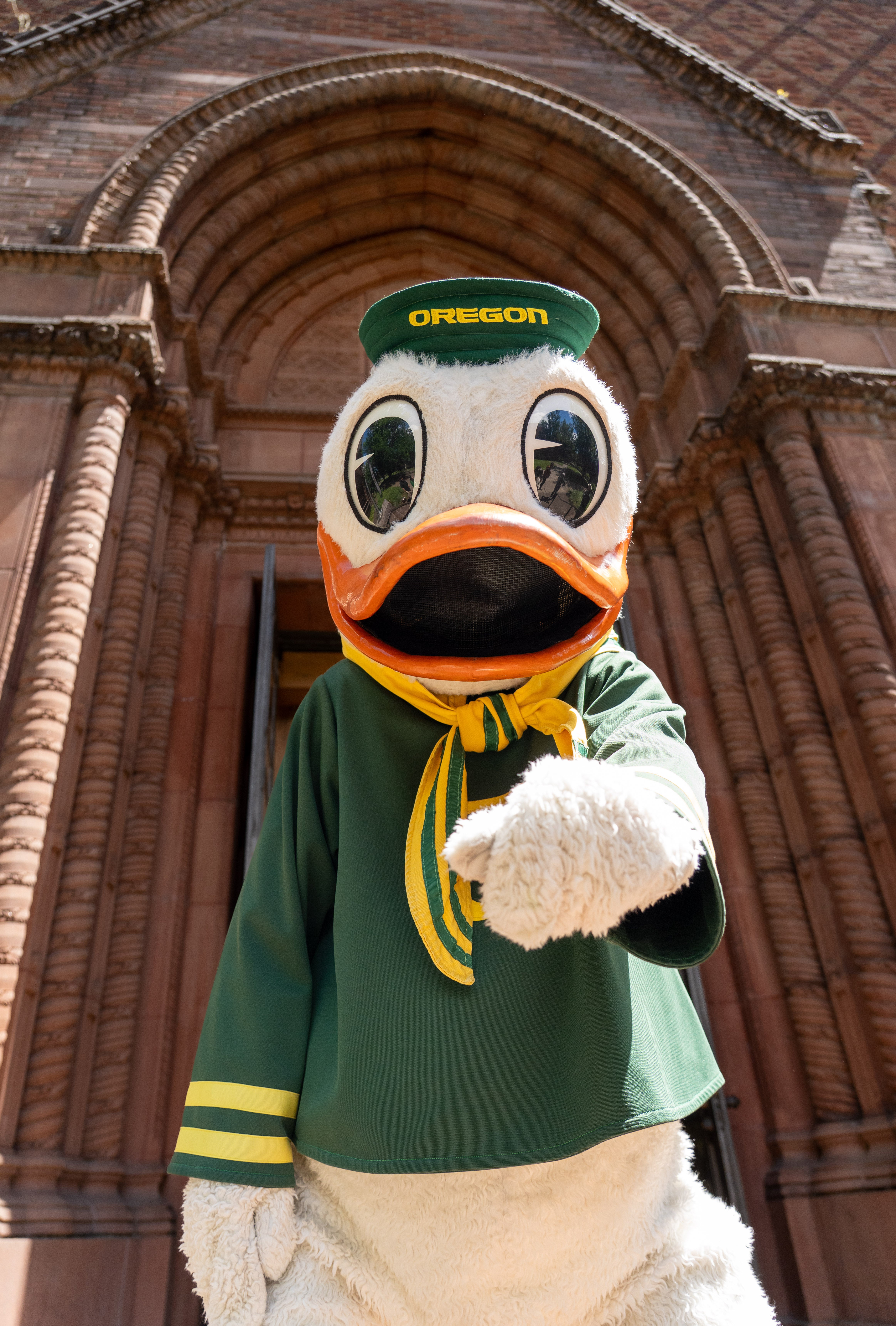 The Oregon Duck is the University of Oregon mascot 