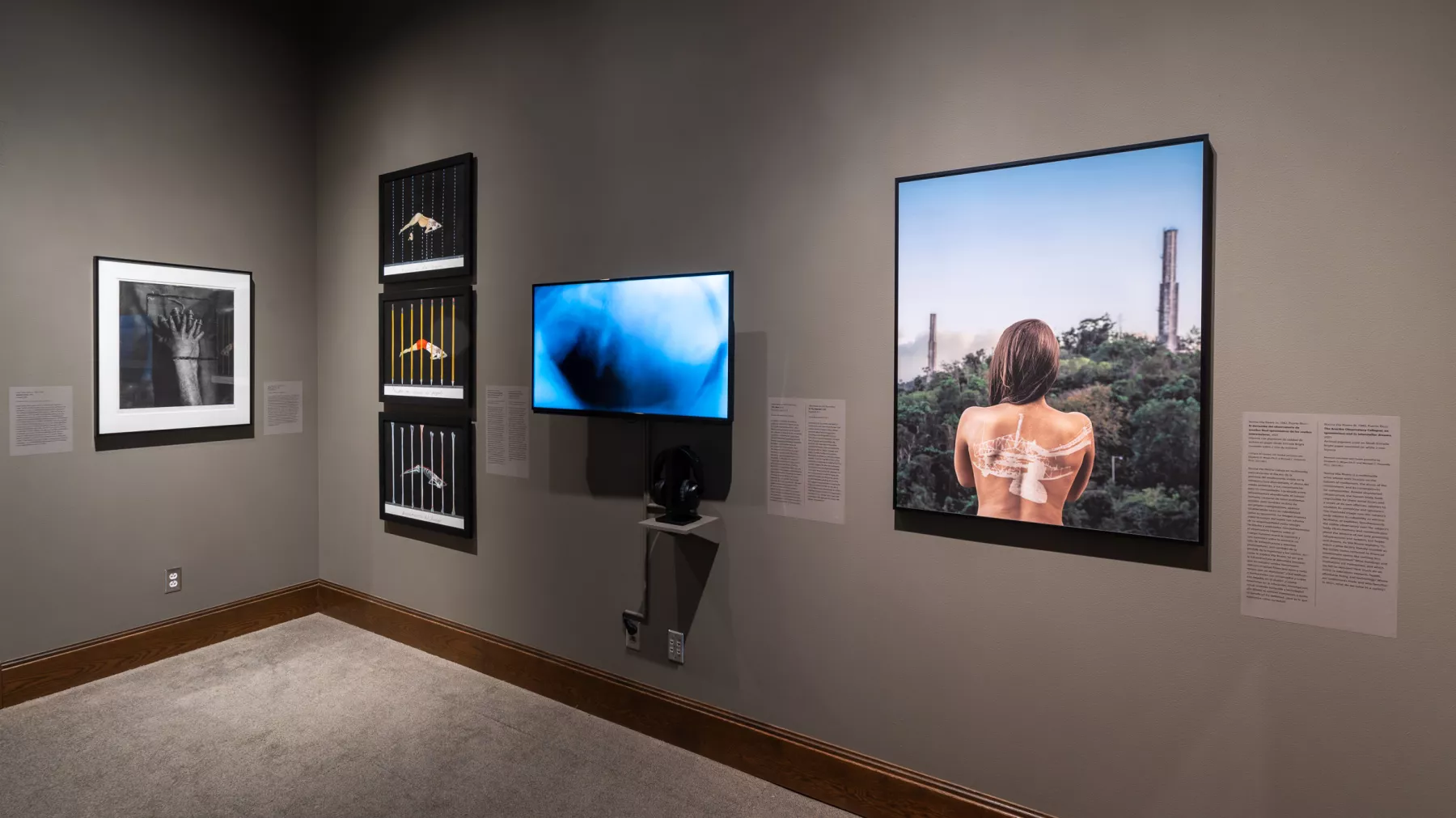 Grey walled gallery space with three paintings and a video screen.