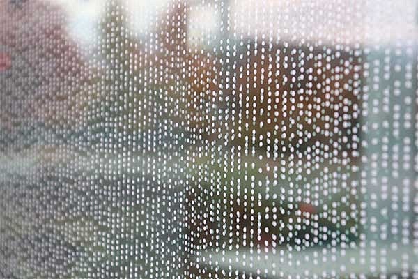 DNA sequence of a Duck heart etched on the glass