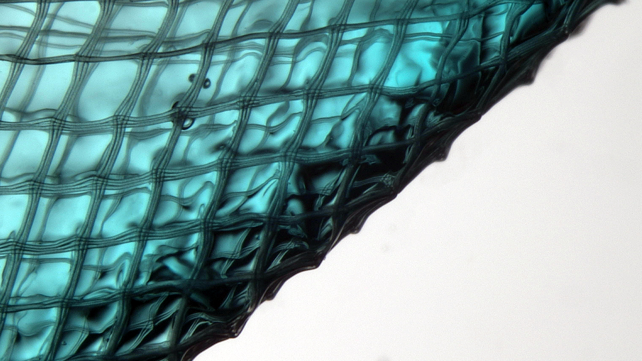 A biomedical slide