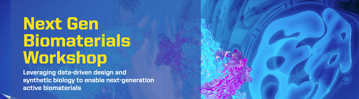 Next Gen Workshop header