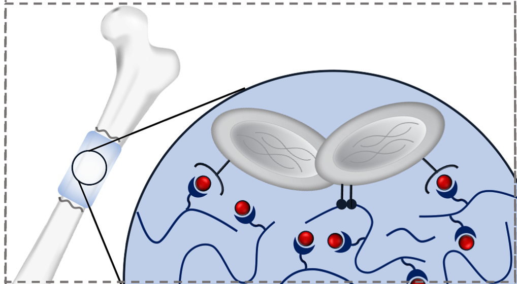 Cell-Instructive Biomaterials for Bone Repair