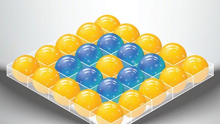 a gray background with yellow and blue spheres, in a box-like container. spheres contain bubbles, or cells. 