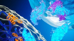 Scientific illustration in blue, purple and dark blue