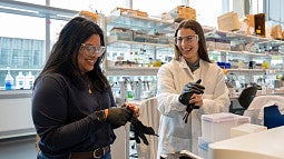 Knight Campus undergraduate scholar