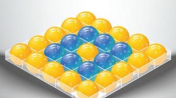a gray background with yellow and blue spheres, in a box-like container. spheres contain bubbles, or cells. 