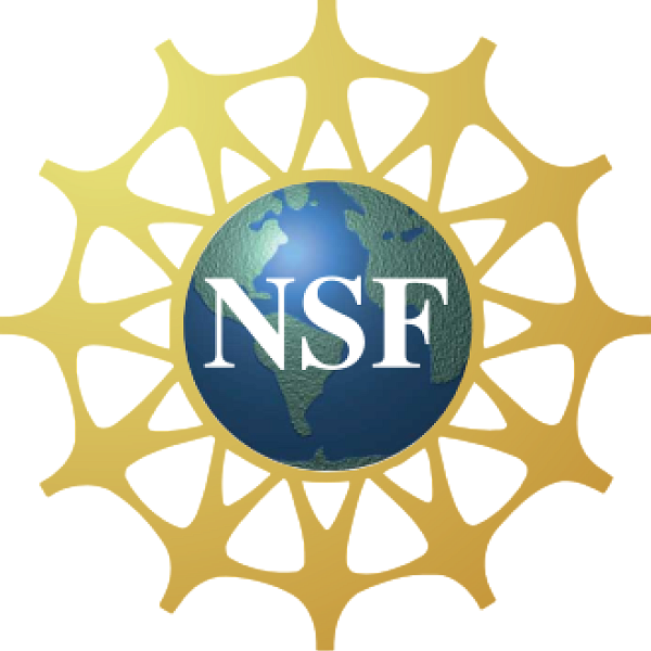 NSF logo - a blue and green earth, with a yellow arc around the outside, with white text that says NSF