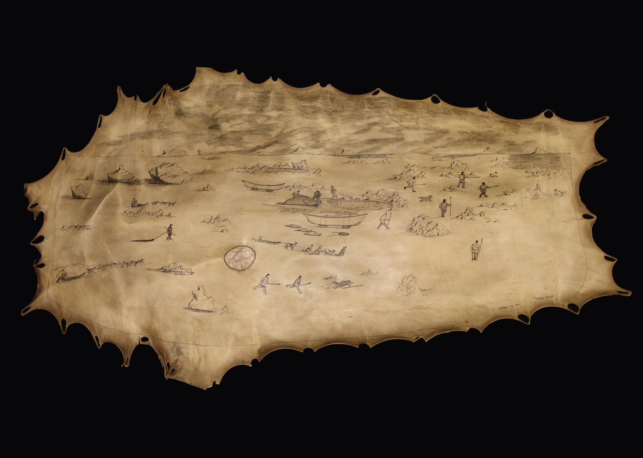 Seal skin drawing