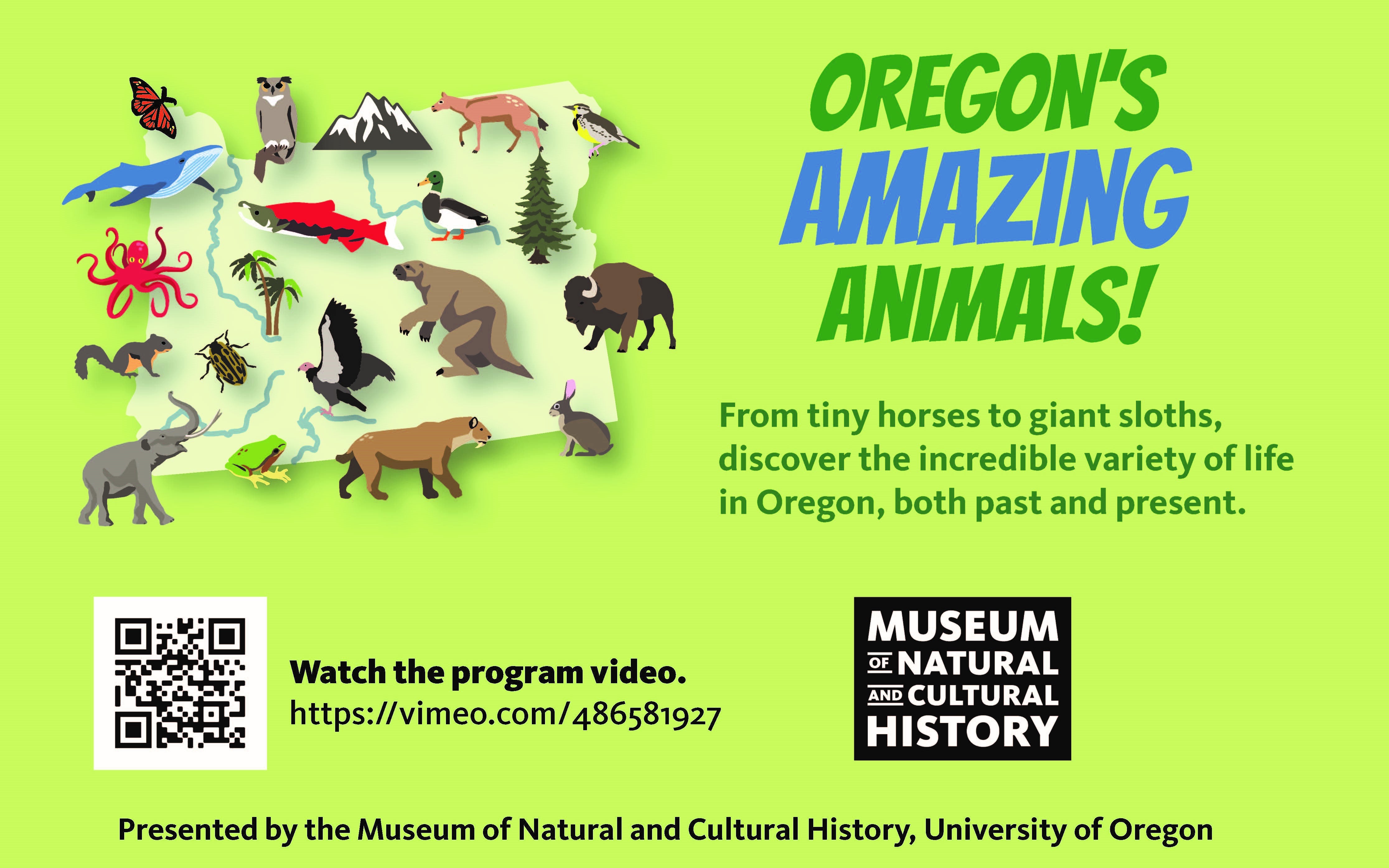 Amazing Animals Half Sheet with QR Code ENGLISH.jpg