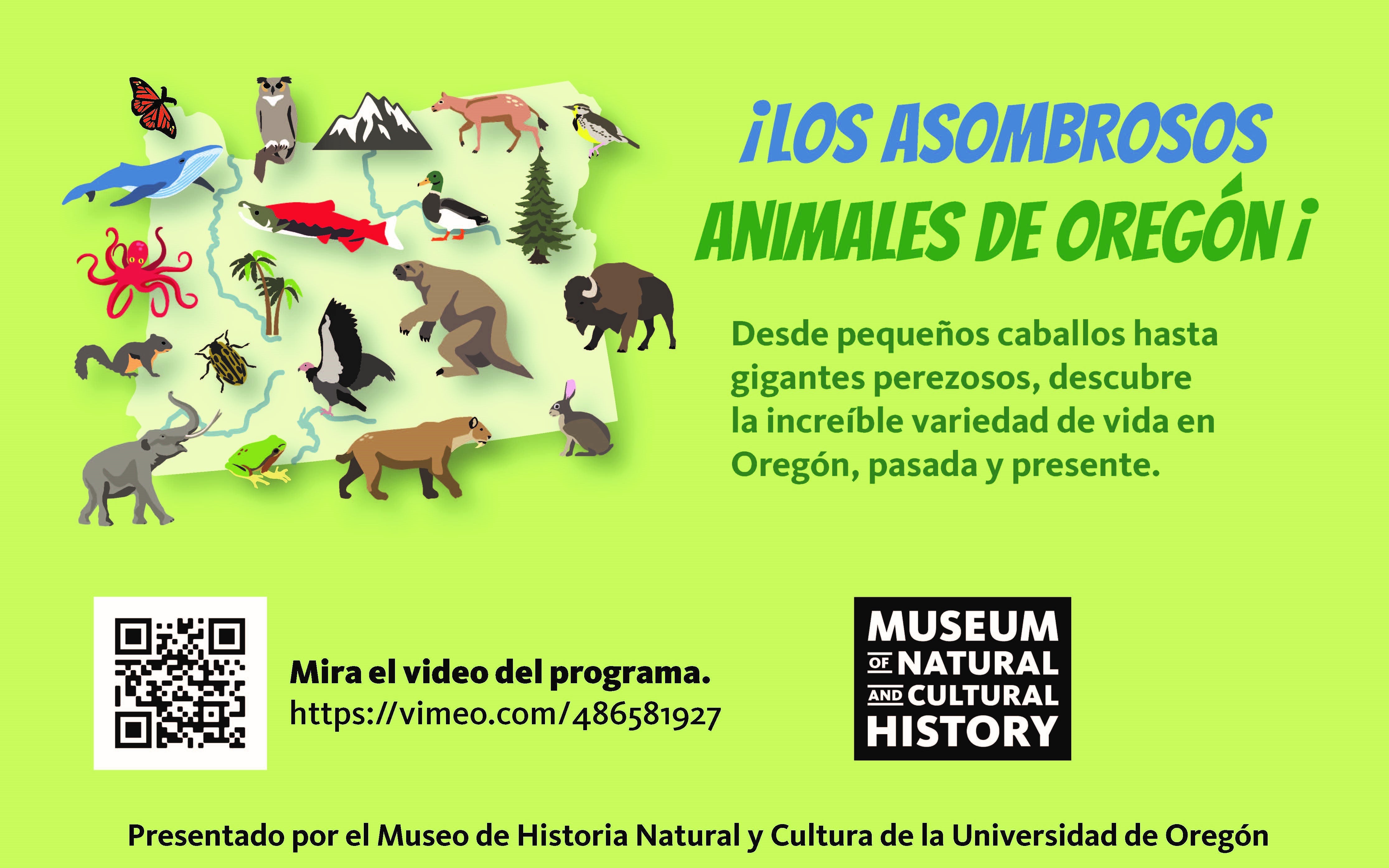 Amazing Animals Half Sheet with QR Code SPANISH.jpg