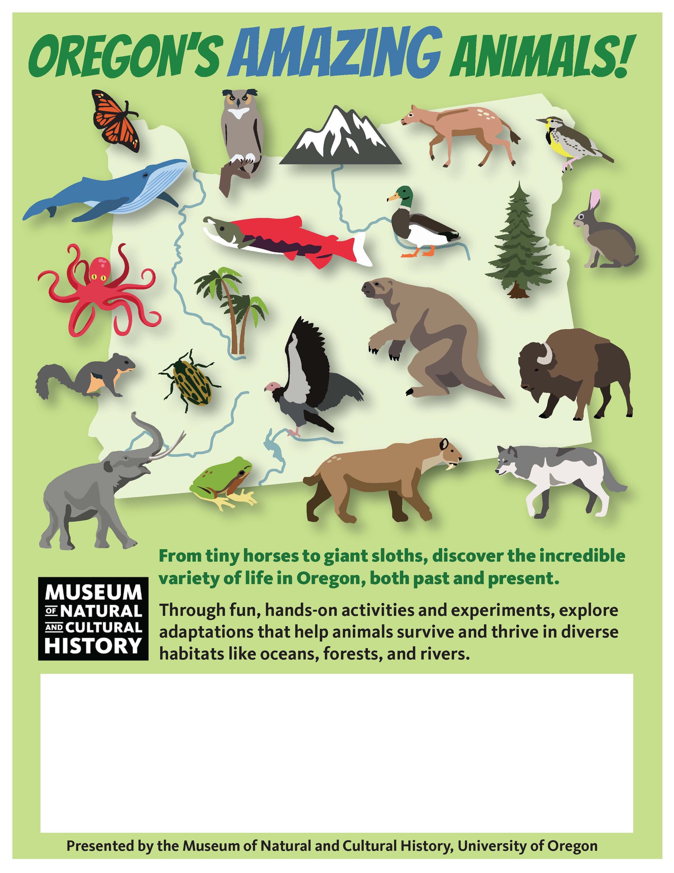 Fillable_Amazing Animals Flyer ENGLISH.jpg