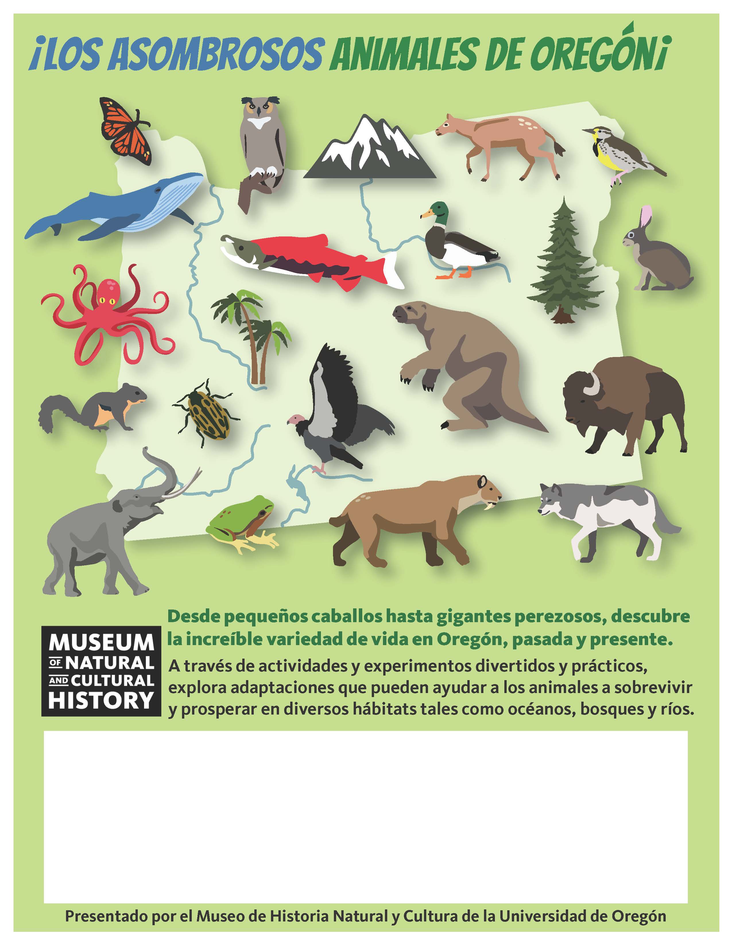 Fillable_Amazing Animals Flyer SPANISH.jpg