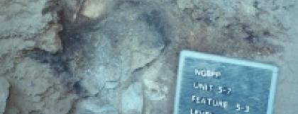 Hearth in Unit 5-7