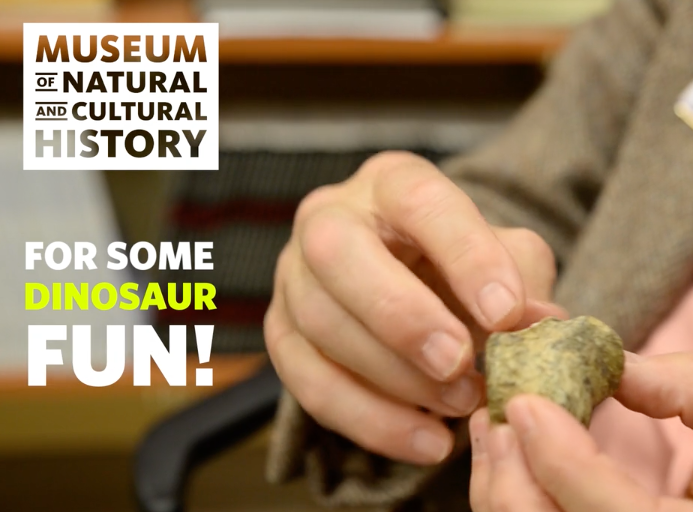 A person examining a fossil that looks like a rock
