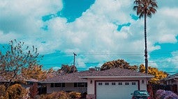 garage with palm tree