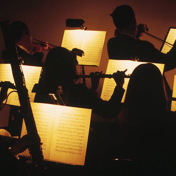 orchestra in the pitt