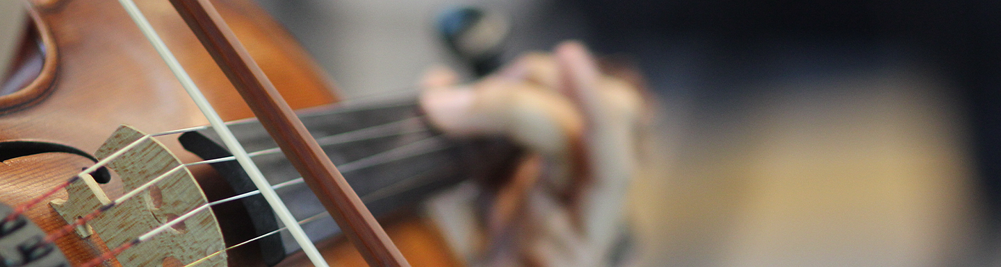 very close view of a violin