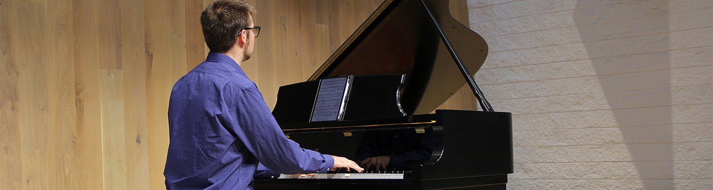 back view of piano soloist