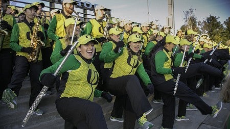 Green and Yellow Garter Band