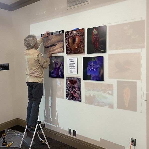 Don Latarski build Katie’s dedication wall