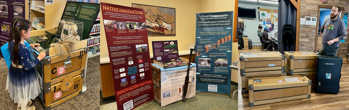 three pictures demonstrating the size and shape of cases for Native Innovation.