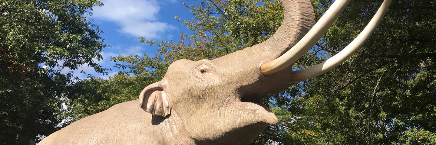 A picture of the mammoth in front of the museum