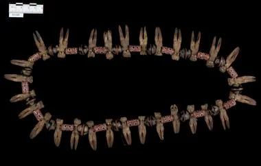 Trade Beads and Duiker Hooves Necklace