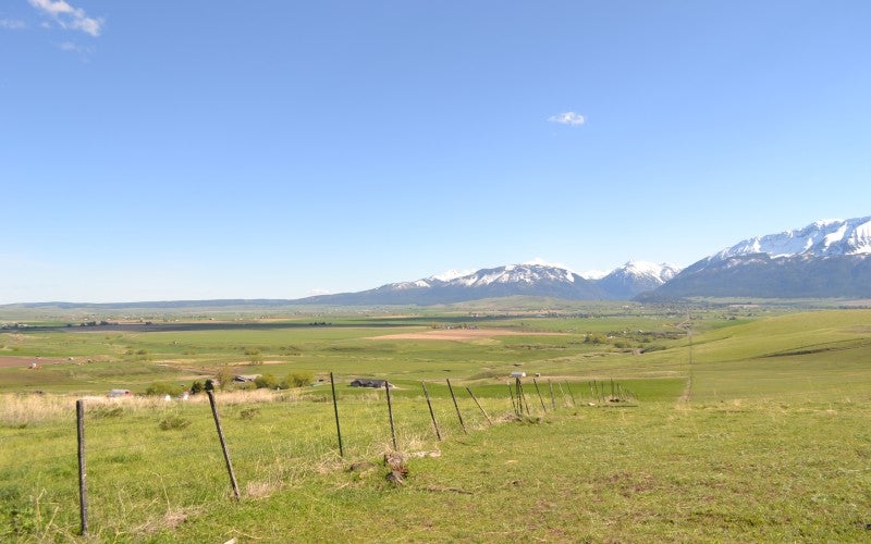 Green landscape with blue skies and the Wallowa mountains in the background
