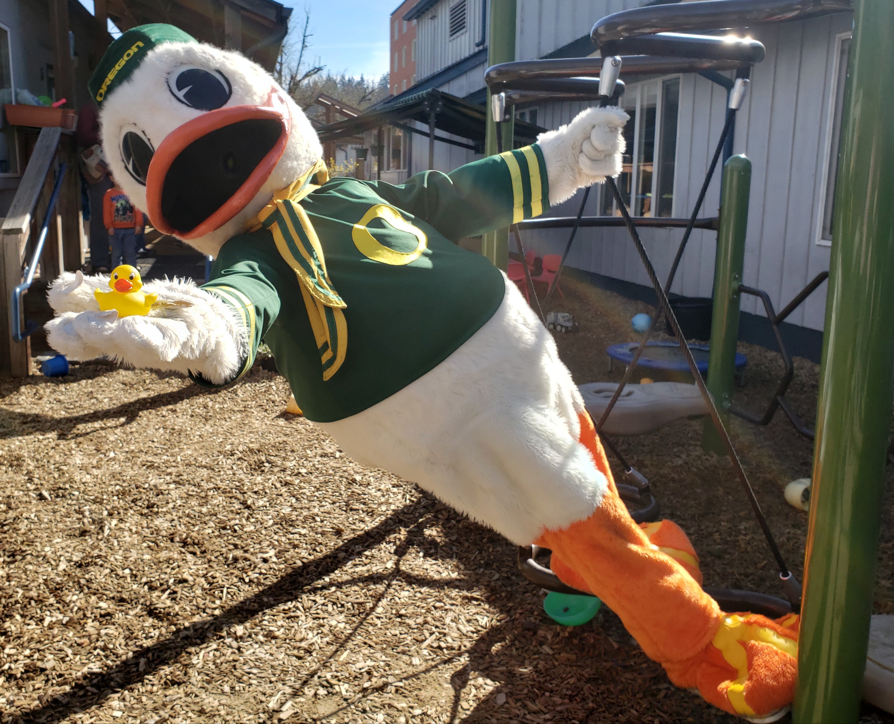 The Duck